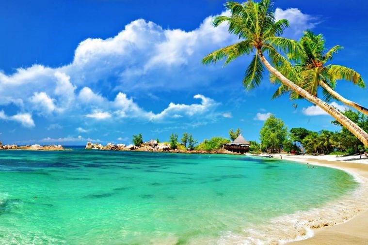  Tour Cù Lao Chàm 1 ngày